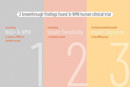 A new human clinical trial of NMN supplement