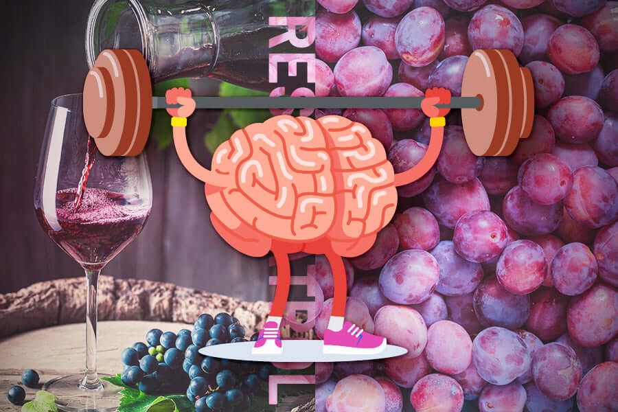 Resveratrol Helps to Preserve Brain Integrity in Humans